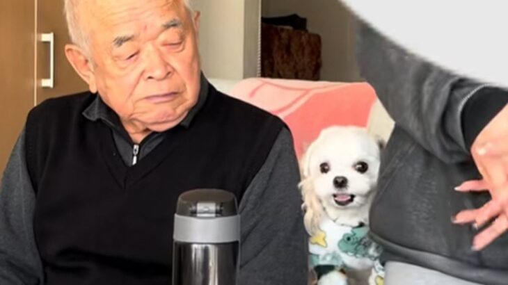 おじいちゃんが大好きな犬→隣に座ってみた結果…まさかの『嫉妬しまくる光景』が可愛すぎると63万再生「取り合ってるの笑う」「羨ましい」(ブログ)