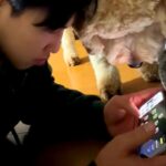 お兄ちゃんがスマホゲームをしていたら、犬が興味津々に覗いてきて…ワンコとは思えない『弟のような行動』が話題「近いってｗｗ」「仲良し兄弟」(ブログ)