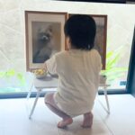 亡くなった愛犬の命日、遺影の前にお供え物をしたら…2歳の男の子がみせた『優しい行動』が尊すぎる　胸がじんわり温かくなる光景に反響(ブログ)