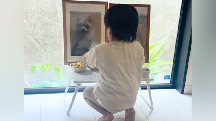 亡くなった愛犬の命日、遺影の前にお供え物をしたら…2歳の男の子がみせた『優しい行動』が尊すぎる　胸がじんわり温かくなる光景に反響(ブログ)