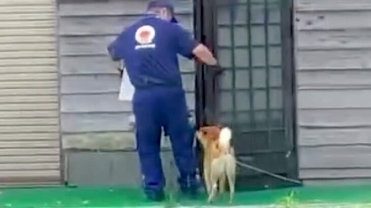 犬がいる家に『配達員のお兄さん』が来た結果→運び終わるのを待って…優しさ溢れる『幸せな光景』が64万再生「離れがたいね」「心がホッコリ」(ブログ)