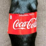 『コカ・コーラの瓶』かと思ったら…おもしろ可愛い『まさかの正体』がSNSで話題「コーラで間違いない」「1本ください！」と12万表示(ブログ)