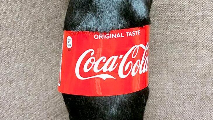『コカ・コーラの瓶』かと思ったら…おもしろ可愛い『まさかの正体』がSNSで話題「コーラで間違いない」「1本ください！」と12万表示(ブログ)