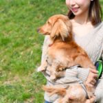 犬の『抱っこ』でやってはいけない絶対NG行為４選　体に負担がかからない抱き方まで(ブログ)