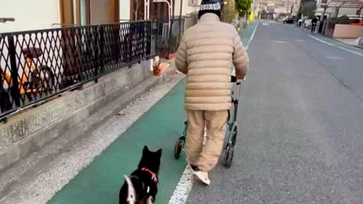 『近所のおじいちゃん』が大好きな犬→一緒に『シニアカー』に乗って…素敵すぎる『ふたりの時間』が38万再生「心が暖かくなる」「かわいい」(ブログ)