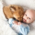 犬が『赤ちゃん』に優しくする理由とは？仲良くしてもらうための秘訣まで(ブログ)