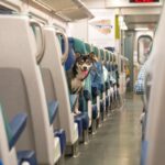 犬を電車に乗せるときの『NGマナー』6つ　意外と知らない注意点や飼い主がすべき安全対策まで(ブログ)