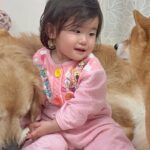 1歳の女の子が『生まれた時から犬と過ごした』結果→言葉は通じなくても…目と目での『意思疎通』が21万再生「本当の兄妹…」「笑顔になる」(ブログ)