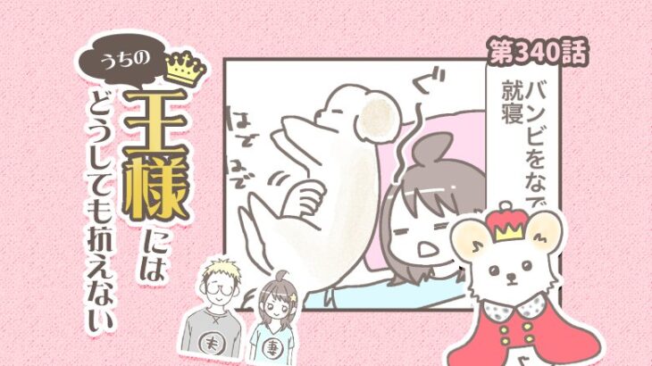 うちの王様にはどうしても抗えない【第340話】「さすが下僕」(ブログ)