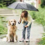 犬を飼ってわかる『理想と現実』4つ　後悔しないために絶対知っておくべきことや心得まで(ブログ)