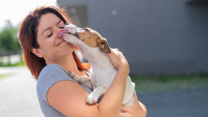 犬が顔を舐めるのは愛情表現とは限らない？愛犬が伝えたいサインに気付いてあげよう(ブログ)