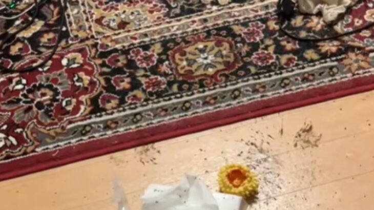 夜、DIYをしていた女性→大型犬から少し目を離した結果…あまりにも絶望的すぎる『衝撃の状況』が518万再生「逃げる範囲せまくて草」と反響(ブログ)