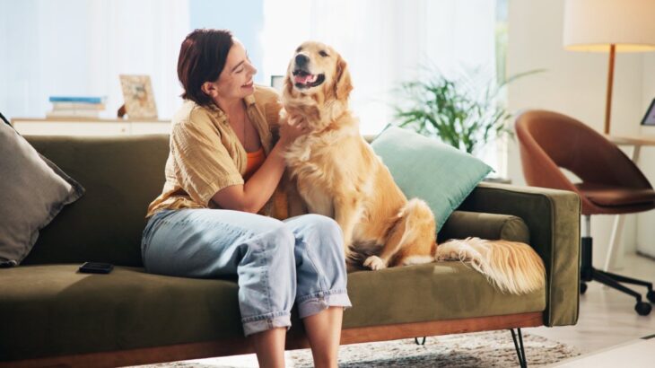 犬の飼い主が『幸せ』だと思うこと５選　心が満たされる瞬間はいつなの？愛犬と喜びを共有する方法まで(ブログ)