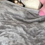 「完全に人で草」寝室で眠る犬の様子を見に行ったら…想定以上の『人間味が強すぎる光景』に6万いいね「人間だと思ってそう」「添い寝したい」(ブログ)