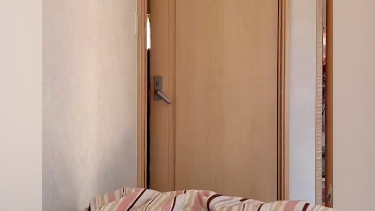 朝、いきなりドアが開いたと思ったら…「マジで人間かと思ったｗ」「想像の8倍デカい」想定外だった『まさかの光景』に44万再生の反響(ブログ)