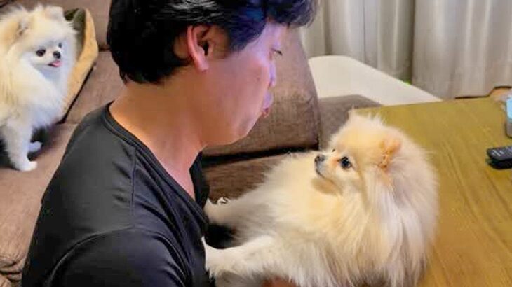 絶対に『パパとのチュー』をしたくない犬→ママが試してみた結果…辛辣すぎる『あからさまな態度』が364万再生「震えてるｗ」「切なくて草」(ブログ)
