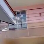 『車についたら振り返ってみて』とトリマーに言われたので、外で窓を見てみたら…泣けてくる光景が38万再生「涙出た…」「愛ですね」と感動(ブログ)