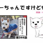 ちーちゃんですけどもっ【第344話】「可愛いお洋服をありがとう」(ブログ)