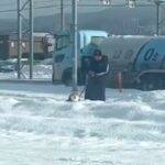 朝、散歩中の犬とパパを『こっそり迎えに行った』結果→犬が先に気づいて…愛おしすぎる光景に74万再生の反響「ひょっこりｗ」「ガン見してる」(ブログ)