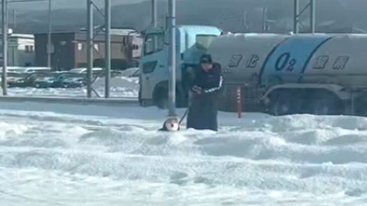 朝、散歩中の犬とパパを『こっそり迎えに行った』結果→犬が先に気づいて…愛おしすぎる光景に74万再生の反響「ひょっこりｗ」「ガン見してる」(ブログ)