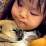 小さな女の子が『犬の赤ちゃん』を抱っこした結果…とんでもなく尊い『愛にあふれた光景』が13万再生「可愛いが可愛いを抱っこしてる」と絶賛(ブログ)