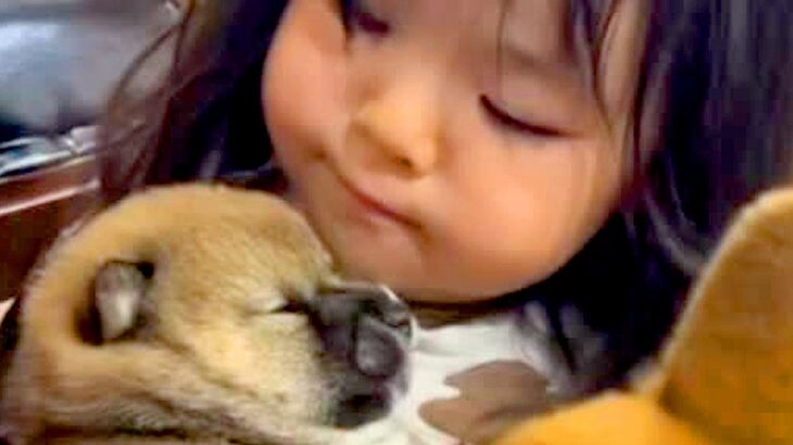 小さな女の子が『犬の赤ちゃん』を抱っこした結果…とんでもなく尊い『愛にあふれた光景』が13万再生「可愛いが可愛いを抱っこしてる」と絶賛(ブログ)
