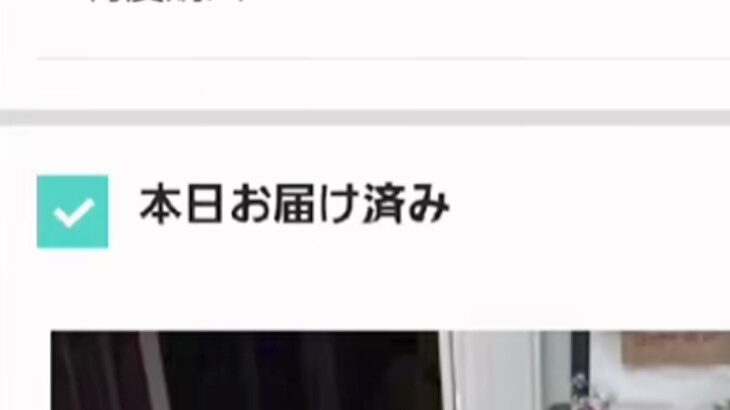 Amazonから荷物が届いたので『配達完了通知』を確認したら…荷物と一緒に撮影された『まさかの光景』が9万再生「癒される」「お茶目ｗ」(ブログ)