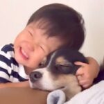 生まれた時から犬と一緒に暮らした男の子→体調が悪いと心配して…家族愛にあふれた『尊い行動』が120万再生「なんて優しい世界」「泣ける」(ブログ)