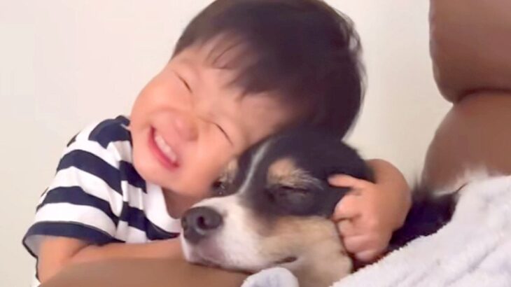 生まれた時から犬と一緒に暮らした男の子→体調が悪いと心配して…家族愛にあふれた『尊い行動』が120万再生「なんて優しい世界」「泣ける」(ブログ)