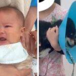 赤ちゃんの予防接種と犬の狂犬病注射へ→似たもの同士すぎる『それぞれのリアクション』が212万再生「なにこの天使たち」「同じで可愛いｗ」(ブログ)