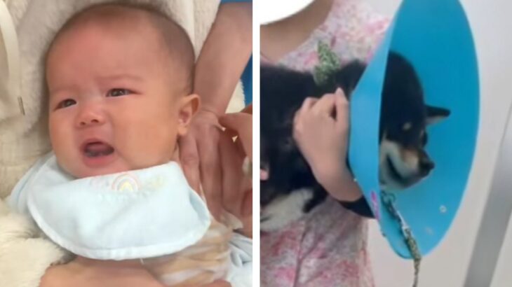 赤ちゃんの予防接種と犬の狂犬病注射へ→似たもの同士すぎる『それぞれのリアクション』が212万再生「なにこの天使たち」「同じで可愛いｗ」(ブログ)