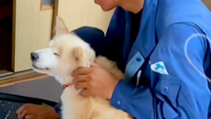Wi-Fi工事のため、業者さんが家にやってきた結果→犬がべったりと…相思相愛な『微笑ましい光景』が45万再生「距離ｗ」「ご満悦なお顔」(ブログ)