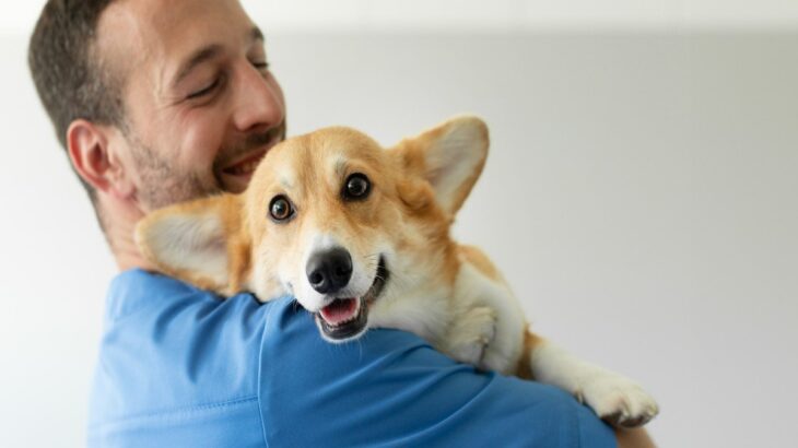 犬からの『愛情度』を知る方法5選　主なチェック項目や愛犬から好かれる人の共通点まで(ブログ)