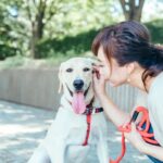 犬が喜ぶ『話しかけ方』５選　安心感を与える声のかけ方や注意すべき接し方まで解説(ブログ)