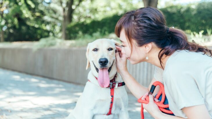 犬が喜ぶ『話しかけ方』５選　安心感を与える声のかけ方や注意すべき接し方まで解説(ブログ)
