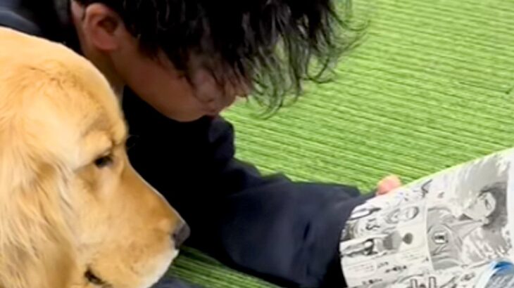 漫画を読んでいるお兄ちゃん→大型犬が隣にやってきて…まるで『本当の兄弟みたいな様子』に反響「前足かわいい」「一緒に読んでるんだね」(ブログ)