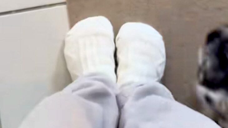 家の中を移動すると、必ず『犬』がついてきて…とんでもなく愛おしい『おしりの定位置』が27万再生「乗っかってるｗｗ」「安心するんだね」(ブログ)