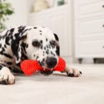 犬がおもちゃで遊んでいるときに唸る理由4つ　怒ったような声を出す心理やしつけのコツまで(ブログ)
