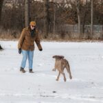 犬の『呼び戻し』が大切な理由4つ　呼んでも来ない理由やトラブルを防ぐために必要なしつけまで(ブログ)