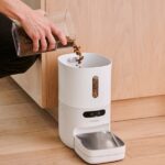 愛犬の食事を「見える化」する。1g単位で食事管理ができるPawsyncの自動給餌器で日々の食事をサポート！(ブログ)