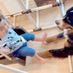 ブランコに乗る女の子→超大型犬が近くで見守って…頼もしすぎる『ベビーシッターのような光景』が148万再生「優しい」「最強ボディーガード」(ブログ)