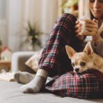 犬が飼い主の『足の間に入り込む』心理５選　可愛すぎる行動の意味や注意点まで解説(ブログ)