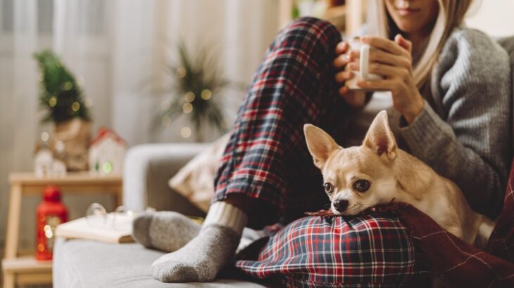 犬が飼い主の『足の間に入り込む』心理５選　可愛すぎる行動の意味や注意点まで解説(ブログ)