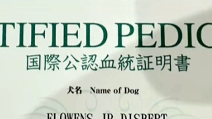 『犬の血統書』が届いたので確認したら…衝撃的な『本当の名前』がSNSで話題「うちはブロッコリーだった」「フラミンゴでした」と18万再生(ブログ)