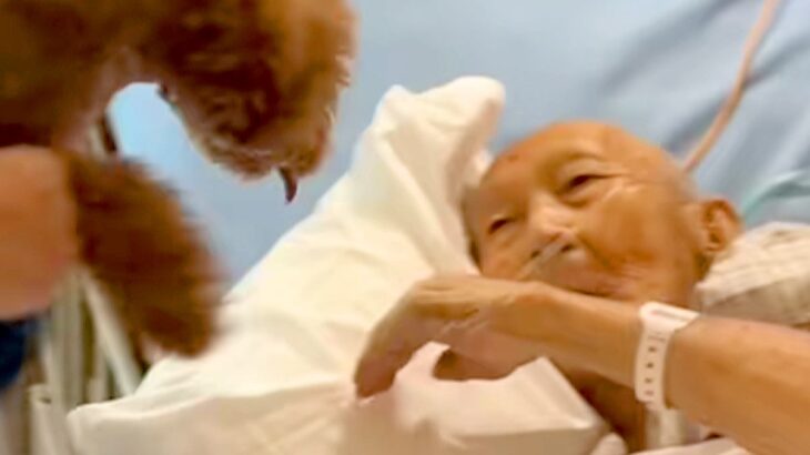 入院中、ずっと『犬に会いたい』と言っていたおじいちゃん→亡くなる10日前の『再会の瞬間』に涙が出ると80万再生「動物の力は絶大」「感謝」(ブログ)