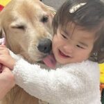 歯磨きを頑張る犬たち→1歳の女の子が近づいて…幸せに溢れている『尊い行動』が11万再生「自然と笑顔になっちゃう」「すべてが可愛い」と絶賛(ブログ)