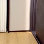 大型犬の子犬が『ドアの向こうで鳴いた』と思ったら…顔からは想像できない『衝撃の鳴き方』が17万再生「おじさんｗｗ」「ワンじゃないの草」(ブログ)