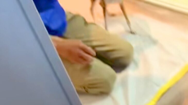 犬がいる家に『工事の作業員』がきた結果→『吠えるかな』と思ったら⋯仕事にならない『想定外の光景』が8万再生「めちゃ可愛い」「たまらん」(ブログ)