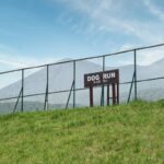 犬が発情しているときの『絶対NG行為』4つ　発情期を迎えたワンコがみせる行動とは？(ブログ)