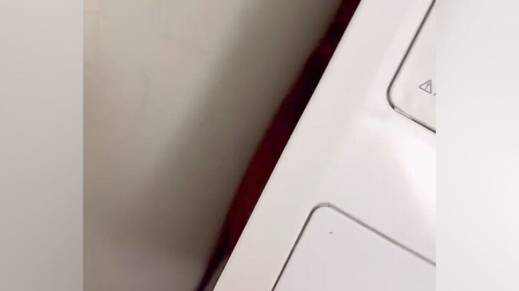 散歩嫌いな犬に『お散歩行きませんか？』とお誘い→洗濯機の横に隠れてしまい…まさかの『シンデレラフィット』が80万再生「食パンみたいｗｗ」(ブログ)